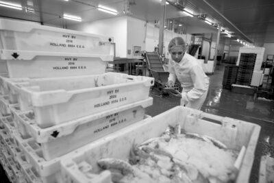 Quality Assurance vacatures